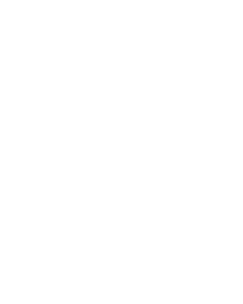 Animanera Logo